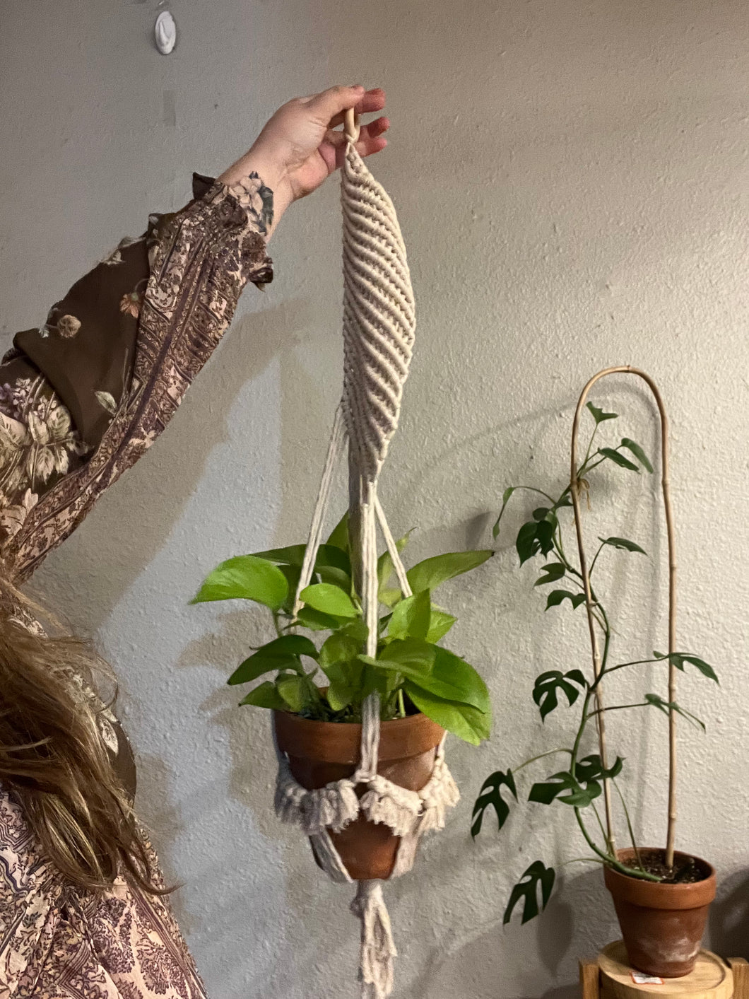 Spiral Plant Hanger
