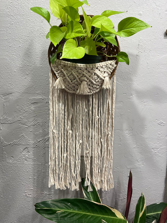 Thrifted Basket Plant Hanger